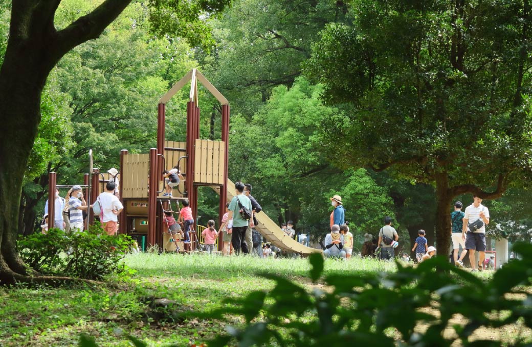 都立光が丘公園