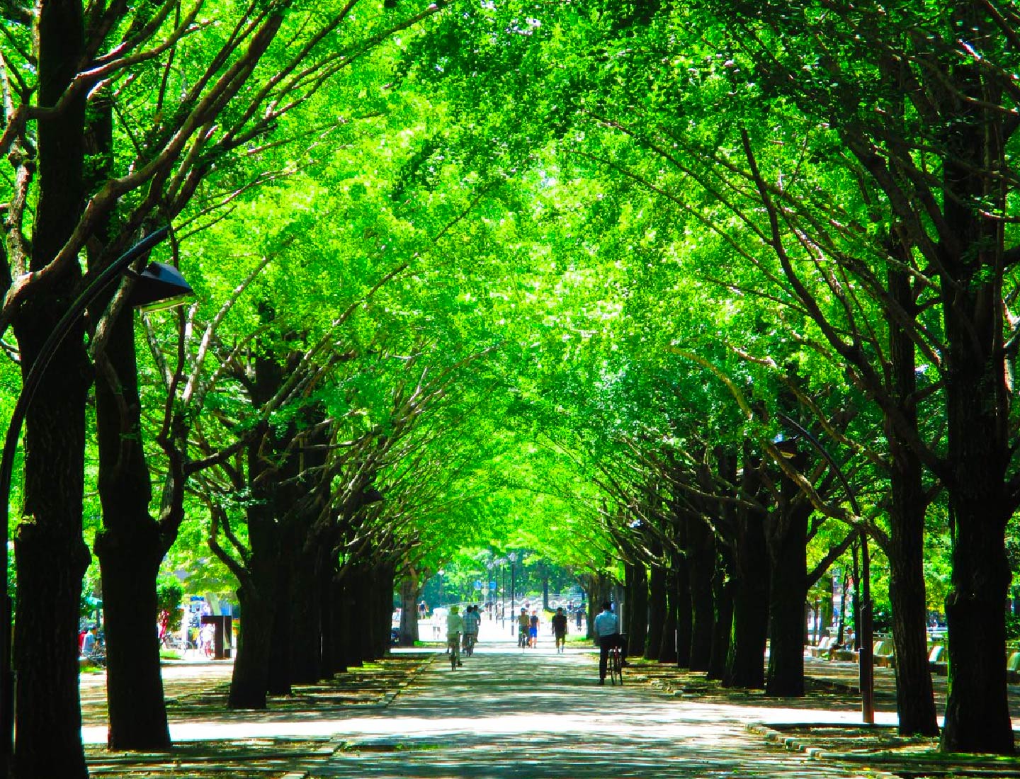 都立光が丘公園